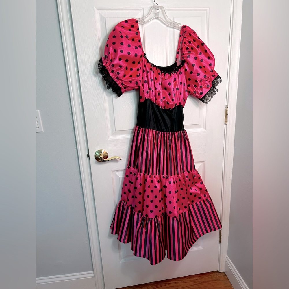 Rubies Costumes Poofy Hot pink And Black Dress